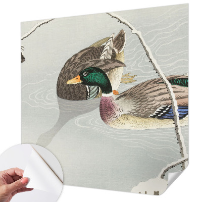 Motivtapete fürs Wohnzimmer Ruhige Enten