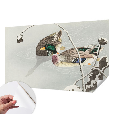 Motivtapete fürs Wohnzimmer Ruhige Enten