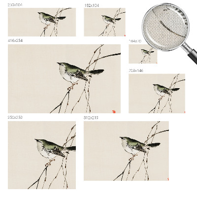 Selbstklebende Fototapete fürs Wohnzimmer mit einem harmonischen Vogelmotiv