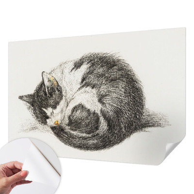 Motivtapete nach Maß mit einem Motiv entzückender Katze