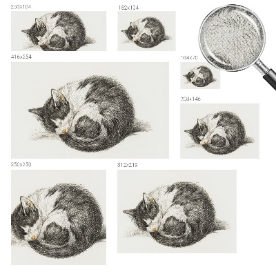 Motivtapete nach Maß mit einem Motiv entzückender Katze
