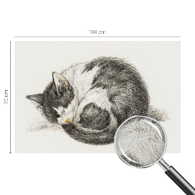 Motivtapete nach Maß mit einem Motiv entzückender Katze