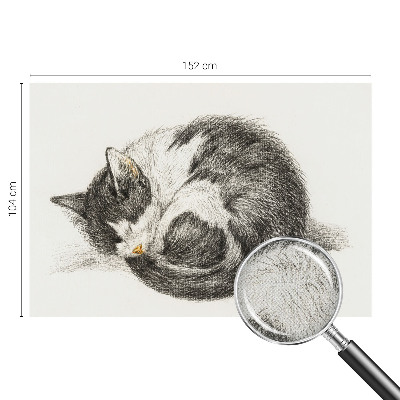 Motivtapete nach Maß mit einem Motiv entzückender Katze
