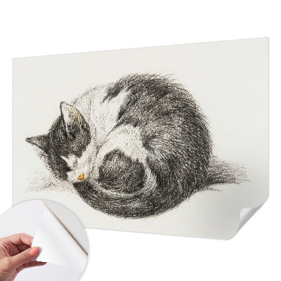 Motivtapete nach Maß mit einem Motiv entzückender Katze