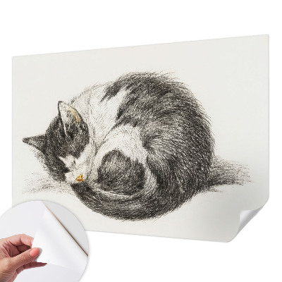 Motivtapete nach Maß mit einem Motiv entzückender Katze