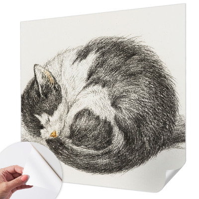 Motivtapete nach Maß mit einem Motiv entzückender Katze