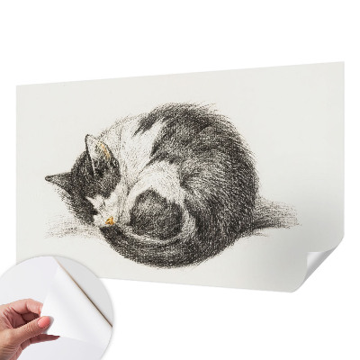 Motivtapete nach Maß mit einem Motiv entzückender Katze