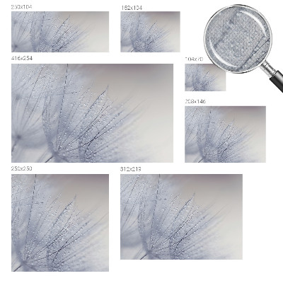 17D-Fototapete fürs Wohnzimmer Taubedeckter Löwenzahn