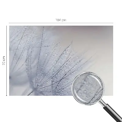 17D-Fototapete fürs Wohnzimmer mit Motiv «taubedeckter Löwenzahn»