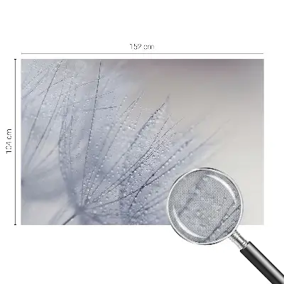 17D-Fototapete fürs Wohnzimmer mit Motiv «taubedeckter Löwenzahn»