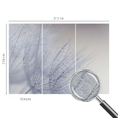 17D-Fototapete fürs Wohnzimmer Taubedeckter Löwenzahn