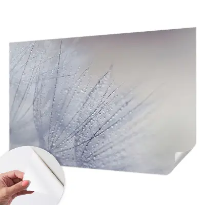 17D-Fototapete fürs Wohnzimmer mit Motiv «taubedeckter Löwenzahn»