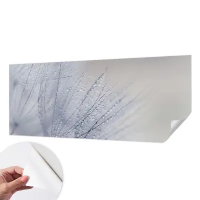 17D-Fototapete fürs Wohnzimmer mit Motiv «taubedeckter Löwenzahn»