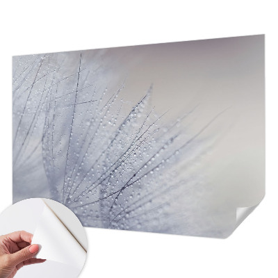 17D-Fototapete fürs Wohnzimmer Taubedeckter Löwenzahn