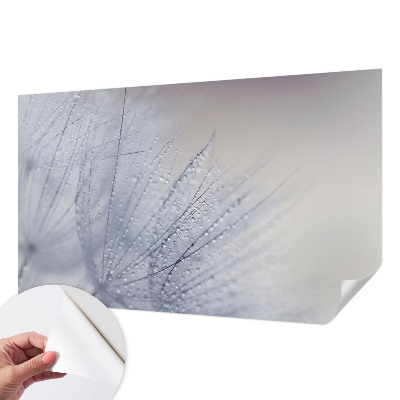 17D-Fototapete fürs Wohnzimmer Taubedeckter Löwenzahn