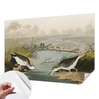 Hochwertige Bildtapete Eine friedliche Landschaft