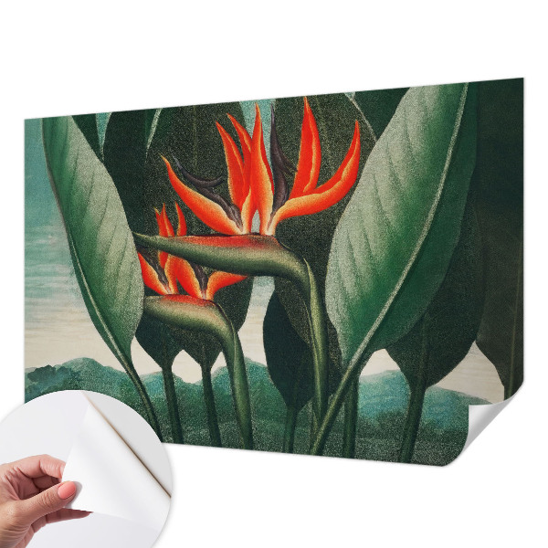 Selbstklebende Fototapete Exotische Blumen