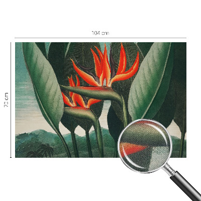 Selbstklebende Fototapete Exotische Blumen