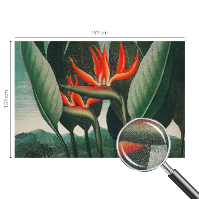 Selbstklebende Fototapete Exotische Blumen