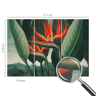 Selbstklebende Fototapete mit einem Motiv exotischer Blumen