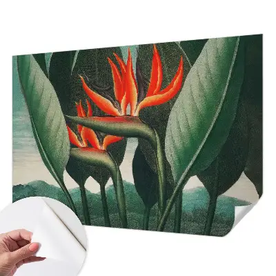 Selbstklebende Fototapete mit einem Motiv exotischer Blumen