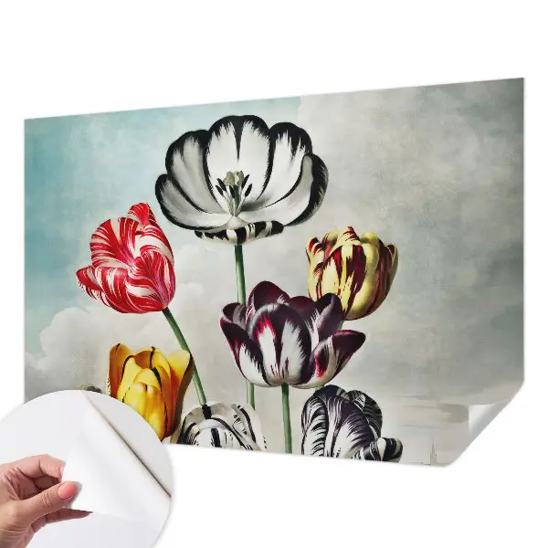 Hochwertige Bildtapete mit bunten Tulpen