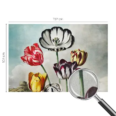 Hochwertige Bildtapete mit bunten Tulpen