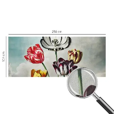 Hochwertige Bildtapete mit bunten Tulpen