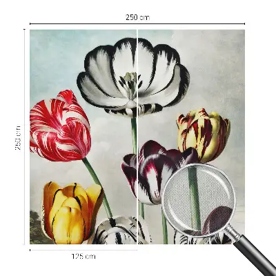 Hochwertige Bildtapete mit bunten Tulpen