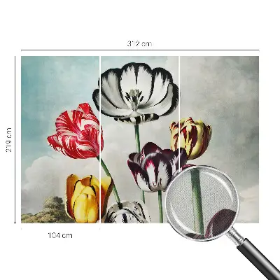 Hochwertige Bildtapete mit bunten Tulpen