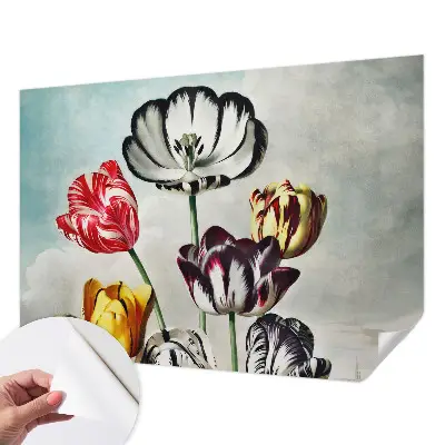 Hochwertige Bildtapete mit bunten Tulpen