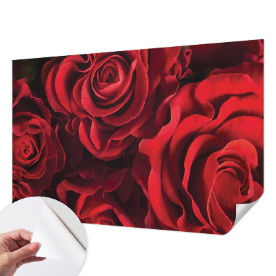 Selbstklebende Fototapete mit rotem Rosenmotiv