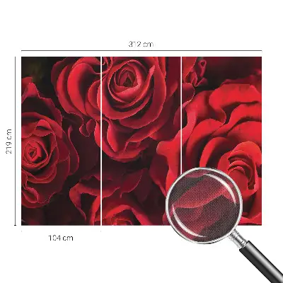 Selbstklebende Fototapete mit rotem Rosenmotiv