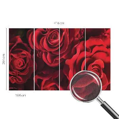 Selbstklebende Fototapete mit rotem Rosenmotiv