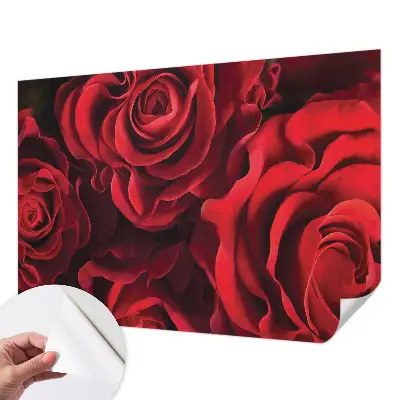 Selbstklebende Fototapete mit rotem Rosenmotiv