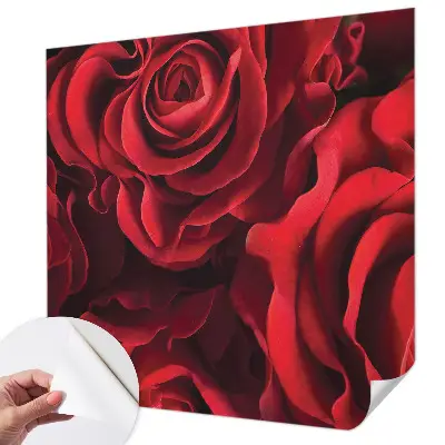 Selbstklebende Fototapete mit rotem Rosenmotiv
