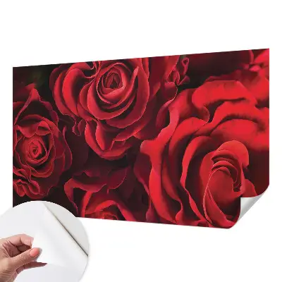 Selbstklebende Fototapete mit rotem Rosenmotiv