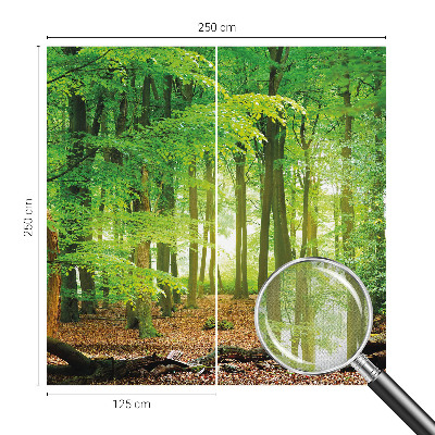 Selbstklebende Fototapete für die Wand Grüner Wald