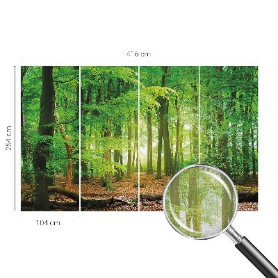 Selbstklebende Fototapete für die Wand Grüner Wald