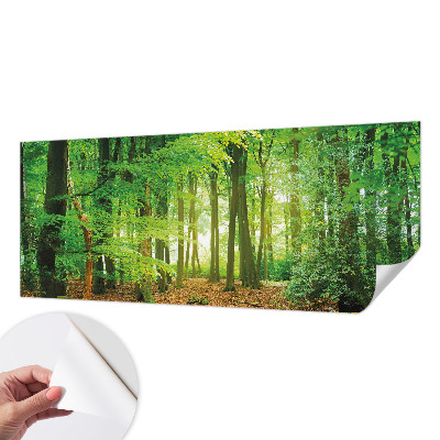 Selbstklebende Fototapete für die Wand mit einem Motiv eines grünen Waldes