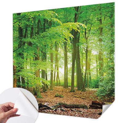 Selbstklebende Fototapete für die Wand mit einem Motiv eines grünen Waldes
