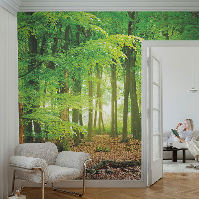 Selbstklebende Fototapete für die Wand mit einem Motiv eines grünen Waldes