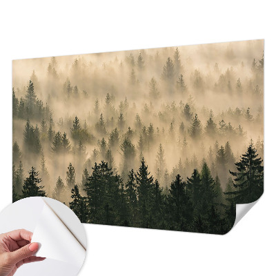 20D-Fototapete fürs Wohnzimmer mit Waldnebel-Motiv