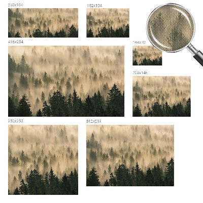 20D-Fototapete fürs Wohnzimmer mit Waldnebel-Motiv