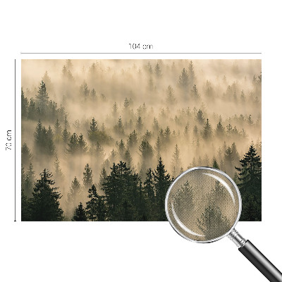 20D-Fototapete fürs Wohnzimmer mit Waldnebel-Motiv