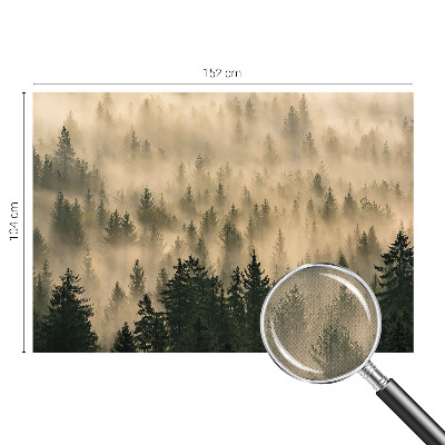 20D-Fototapete fürs Wohnzimmer mit Waldnebel-Motiv