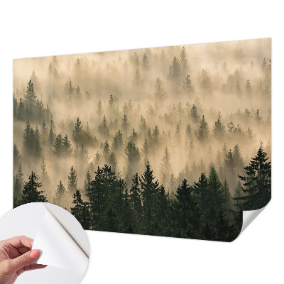 20D-Fototapete fürs Wohnzimmer mit Waldnebel-Motiv