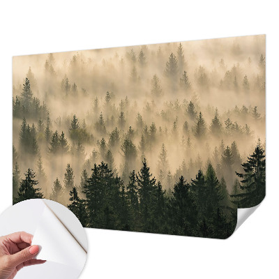 20D-Fototapete fürs Wohnzimmer mit Waldnebel-Motiv