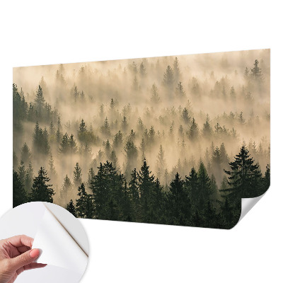 20D-Fototapete fürs Wohnzimmer mit Waldnebel-Motiv