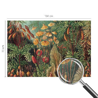 Fototapete nach Maß Exotischer Garten